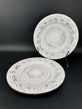 Pfaltzgraff Trellis White Dinner Plates 10.5" Rustic Stoneware Set of 2